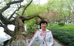 qovd播放器免费下载